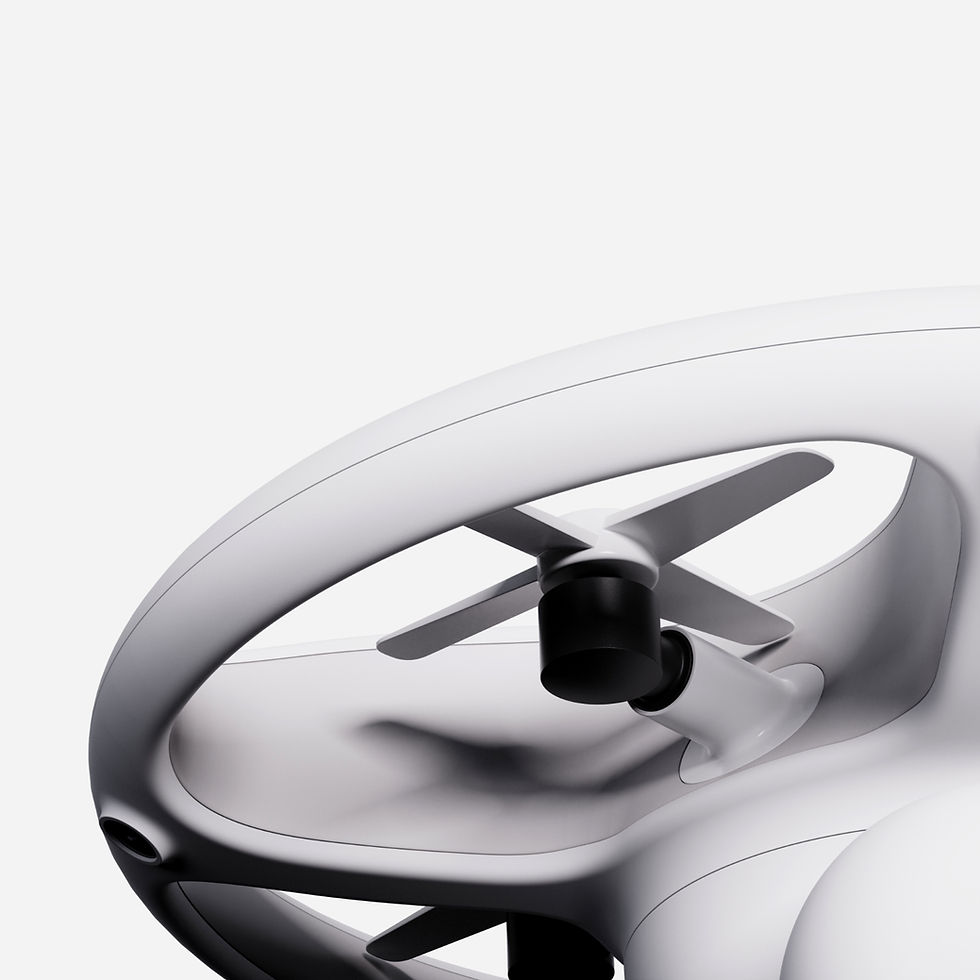 drone - deet 5_edited.jpg