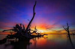 Sunset of Dreams
