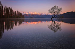 Wanaka Calm