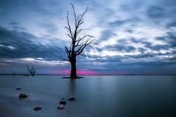 A Touch of Pink