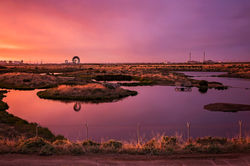 Port Adelaide Wetlands