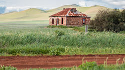 The Homestead