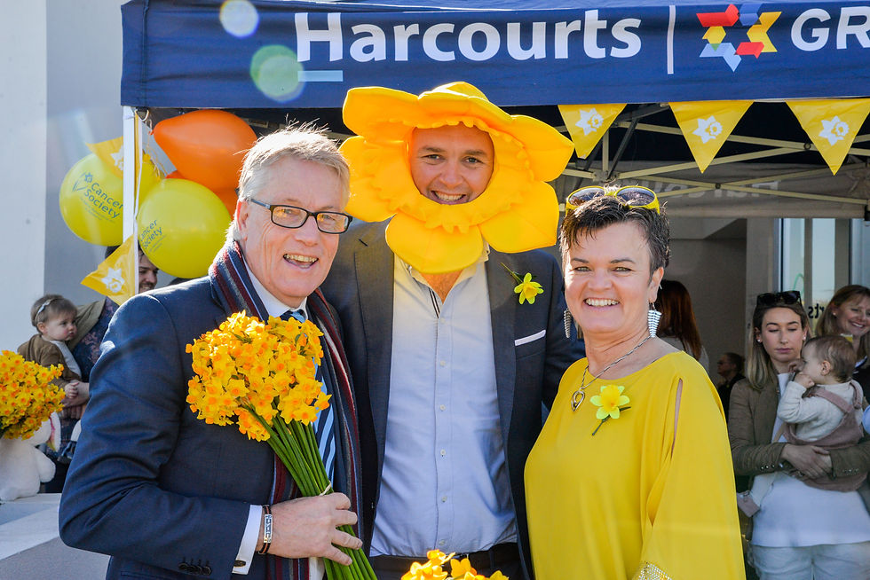 Harcourts 2.jpg