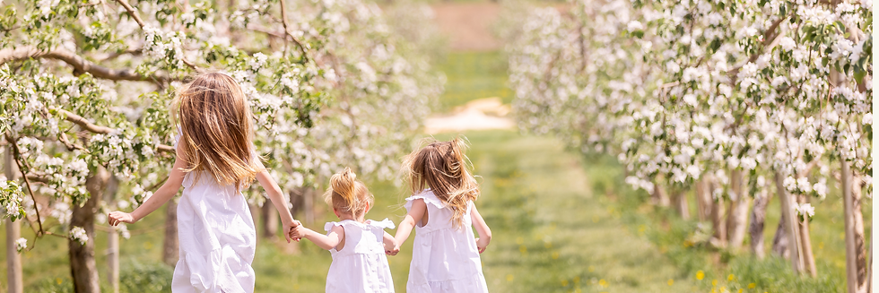 Promotion les minis séances photos verger en fleurs promotion photo
fleurs verger