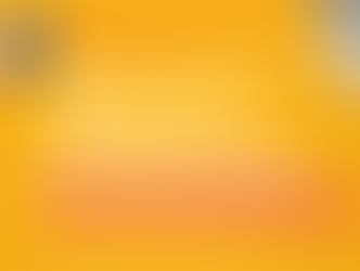 PNPAF apresenta o seu relatório anual de atividades