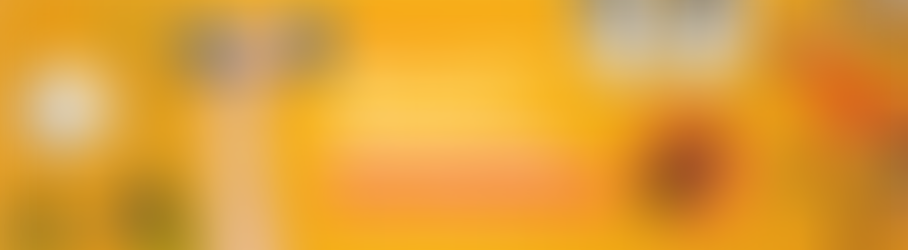 PNPAF apresenta o seu relatório anual de atividades