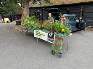 Plant Sale This Sunday - 1