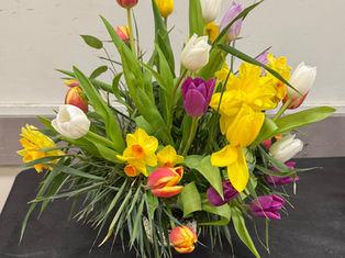 SPRING SHOW: SATURDAY 11th APRIL