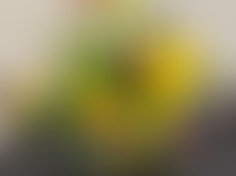 SPRING SHOW: SATURDAY 11th APRIL