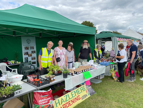Hazlemere Fete