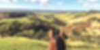 116a5a25-3901-46ef-b6bb-7b653eb75965_edited_edited.jpg