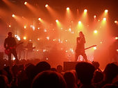 Live Concert