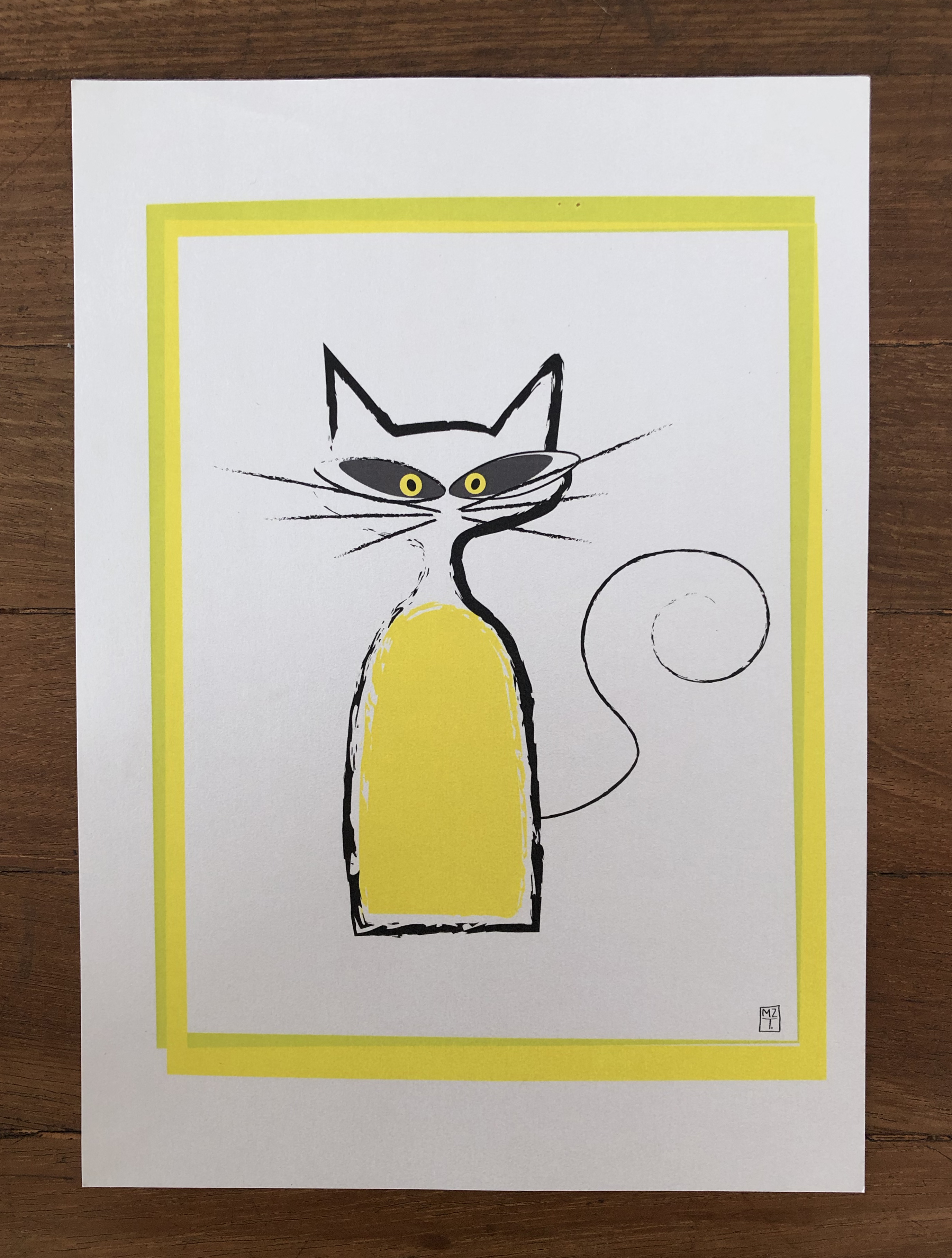 Gato 8