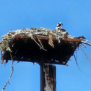 And The Winner Is...