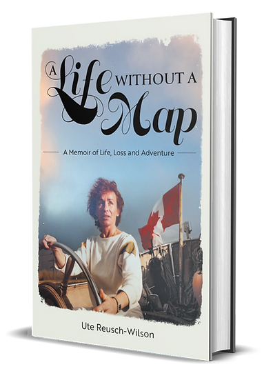  A Life Without a Map - book image