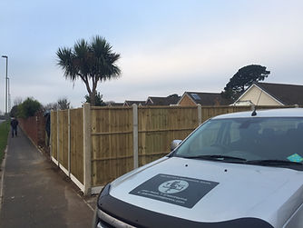 Fareham Hedge Removal.jpeg