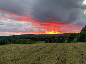 IMG_6401.jpg