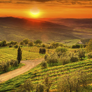 Libri di viaggio in Italia: 10 letture per (re)innamorarsi del Bel Paese