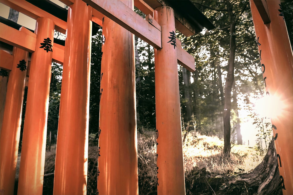 KYOTO FUN - TORI GATES