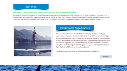 WILD KRATT - WEB DESIGN - OTP SERVICE DESCRIPTION.png