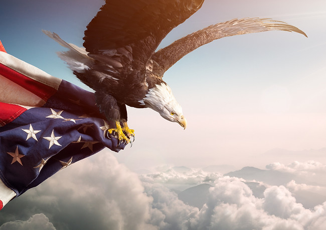 AMERICAN HISTORY TOURS - PRIDE IN OUR NATION