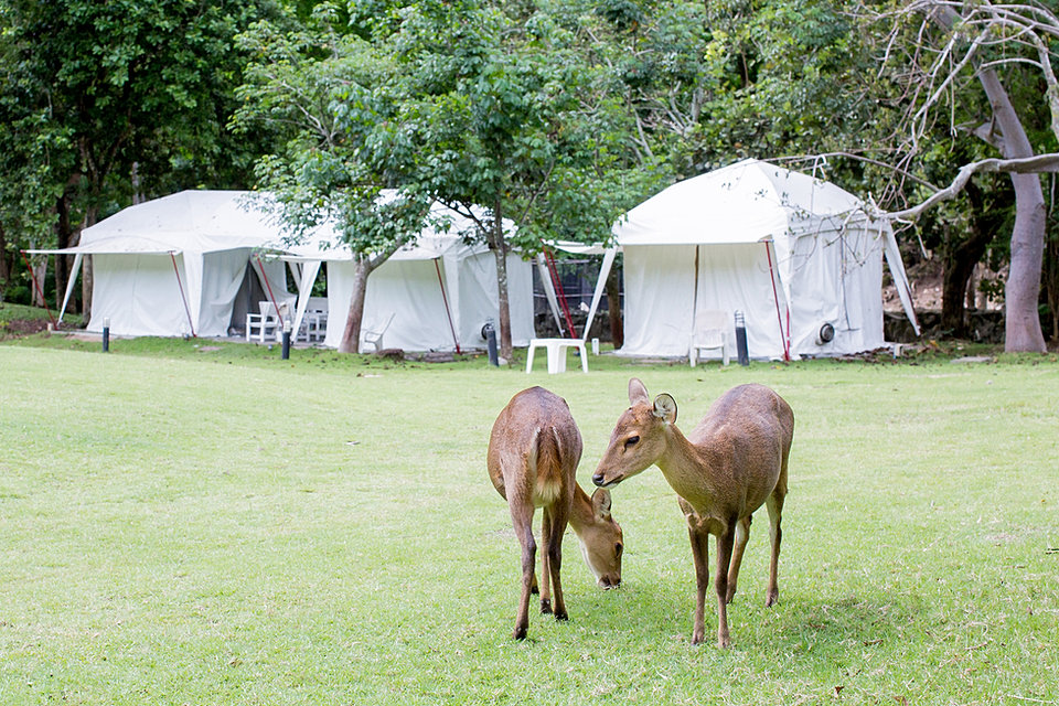 Turkey Run IN Turkey Run Canoe & Campground