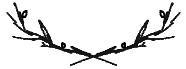 Campingplatz Heisterberger Weiher - Main photo