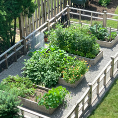 With all the goodies in this garden, we expecet a dinner invite soon!