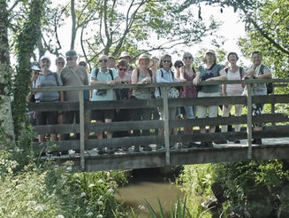 2026-05-26 THEIX NOYALO - Pont Malgoin-Corn Er Hoët