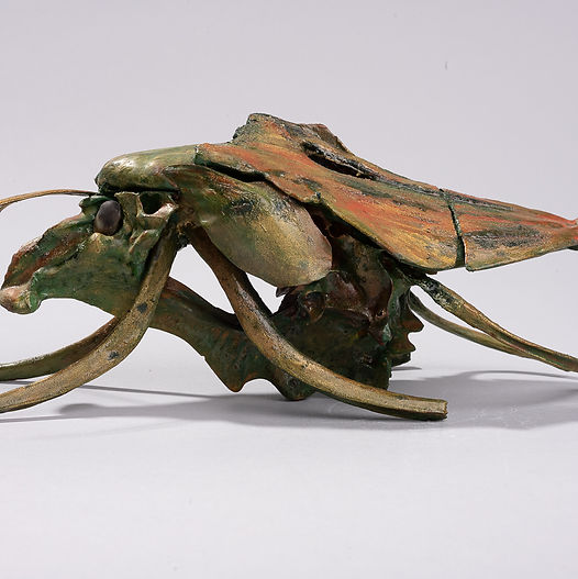 Low-profile Shellfolk creature made from layered shells, with curved limbs and mottled green and earthy tones.