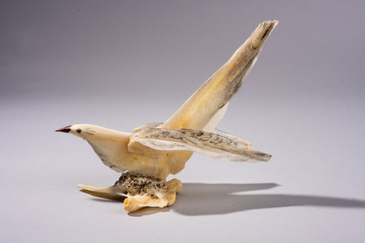 Shellfolk seagull sculpture with outstretched wings, made from layered shells with pale and darker feather markings, perched on a natural shell base, materials include seashell, coral, and marine found objects.