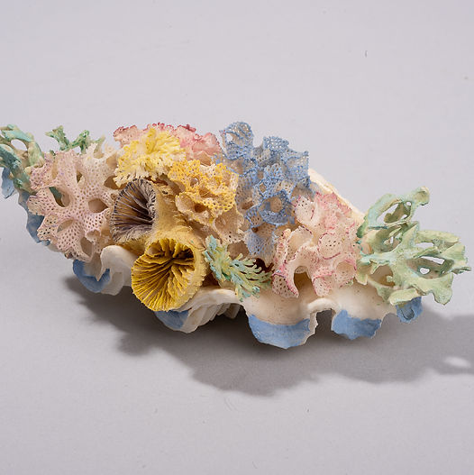 Shellfolk garden made from layered shells and coral, with blue and yellow coral forms clustered across a pale shell base.