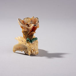 Shellfolk No 046