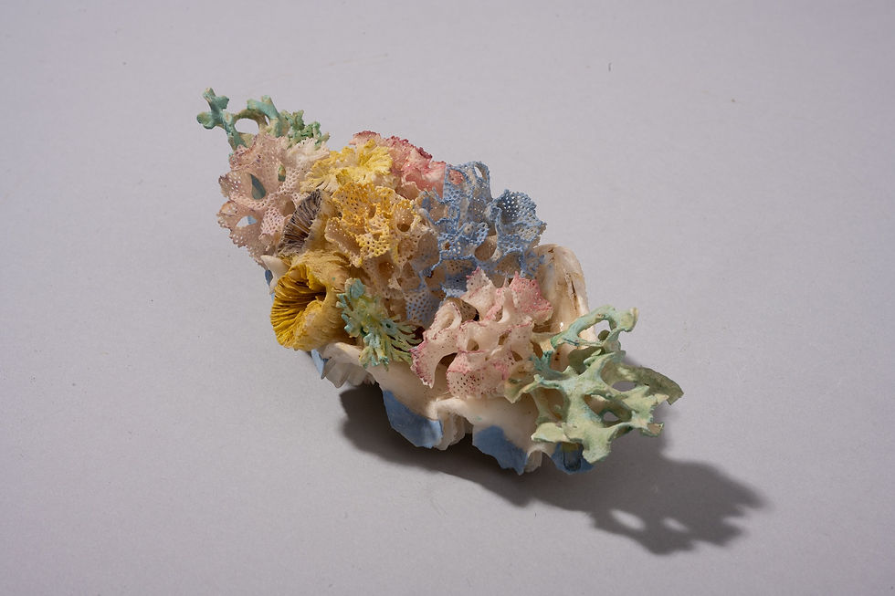 Blue Yellow Garden 2.jpg