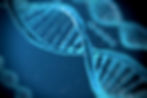dna.jpg