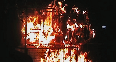 2_MIMICRY FILM STILL.png