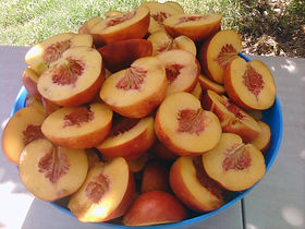 buy fruit wines Australia