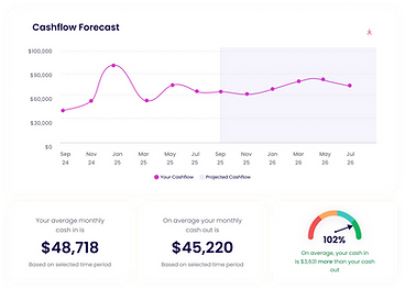 Cashflow forecast graph.png
