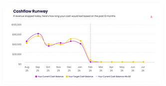 Cashflow runway graph.png