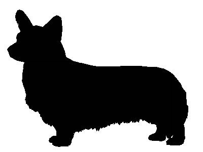 Corgi Profile