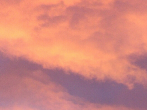 Poetry- 2010 by Nora VanRees