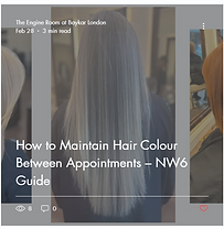 Blog Post - Maintain Your Hair Colour