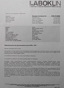 resultats prdc-pra PCr.jpg