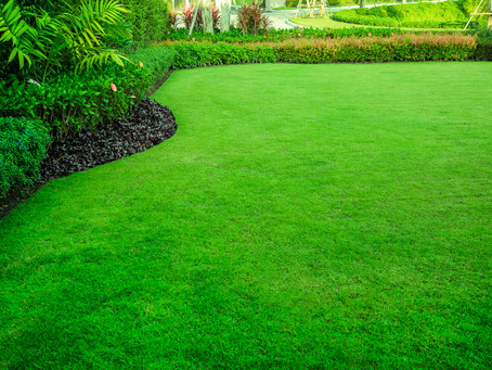 Take Your Lawn from Green…to Greenest!