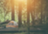 AdobeStock_136246294.jpeg