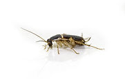 AdobeStock_354105154.jpeg