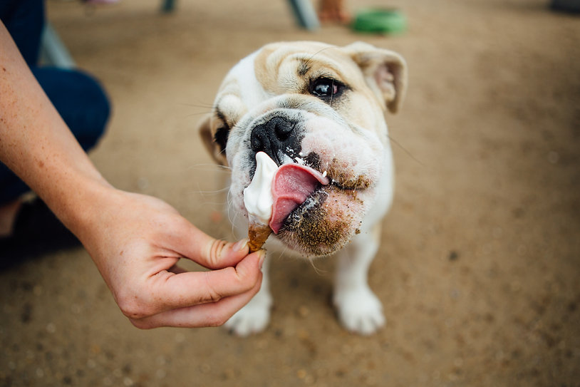 AdobeStock_120694087.jpeg
