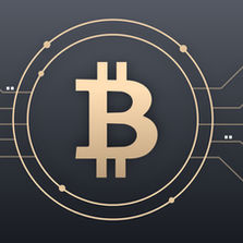Cryptocurrency Taxation
