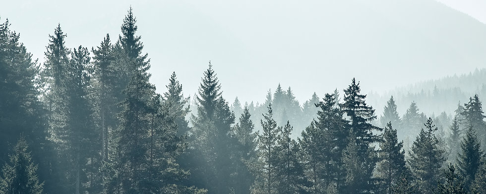 AdobeStock_223499122.jpeg