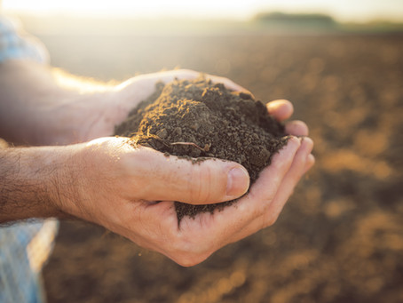 Understanding Different Soil Types